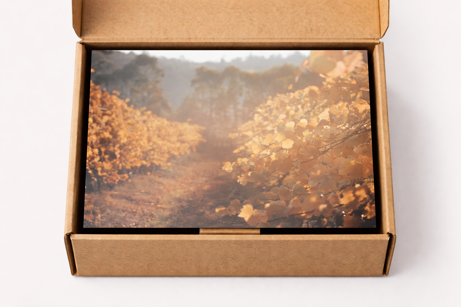 Blanc de Noir Vintage 2022 (three bottles, free postage)