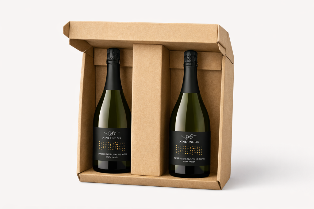 Blanc de Noir Vintage 2022 (two bottles, free postage)